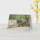 Amish Horses Kaart (Gele Bloem)