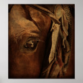 Amish Horse's oog Poster (Voorkant)