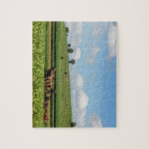 Amish Land Legpuzzel