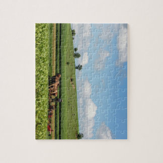 Amish Land Legpuzzel