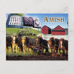 Amish Life in Lancaster, Pennsylvania Briefkaart