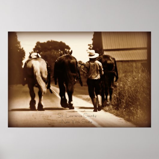 Amish Life Poster (Voorkant)