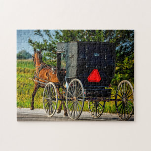 Amish Paard Brikje Indiana. Legpuzzel