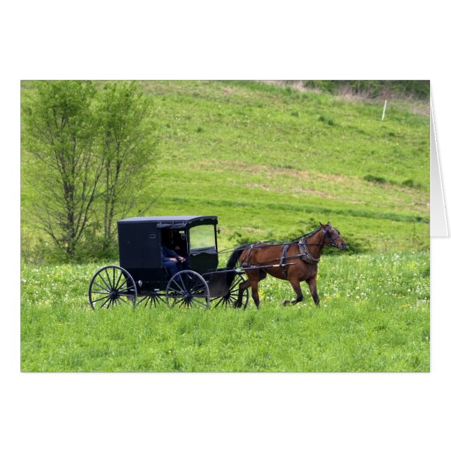 Amish paard en buggy bij Berlijn, Ohio. (Voorkant Horizontaal)