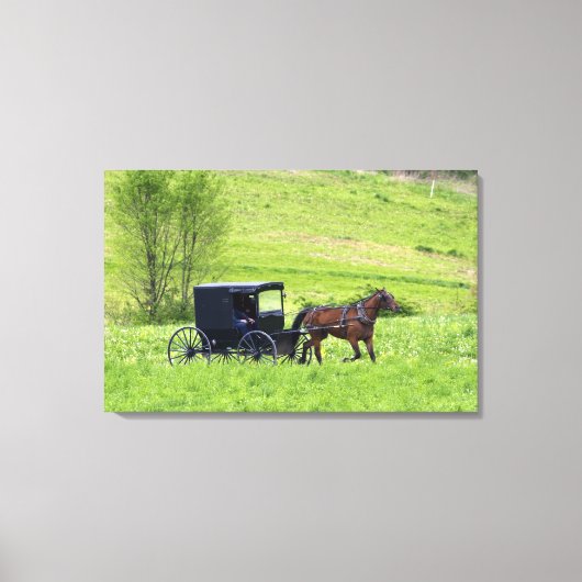 Amish paard en buggy bij Berlijn, Ohio. Canvas Afdruk (Voorkant)