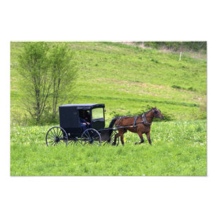 Amish paard en buggy bij Berlijn, Ohio. Foto Afdruk