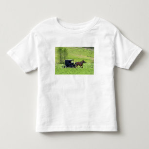 Amish paard en buggy bij Berlijn, Ohio. Kinder Shirts