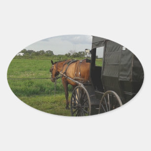 Amish paard en buggy bij zonsondergang in Frytown Ovale Sticker