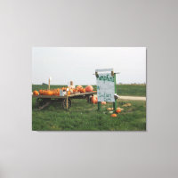 Amish Pompoenveld Boerderij Fotografie Wand Kunst