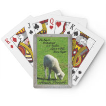 Amish Proverb! Cute Lamb! Amish Boerderijen!