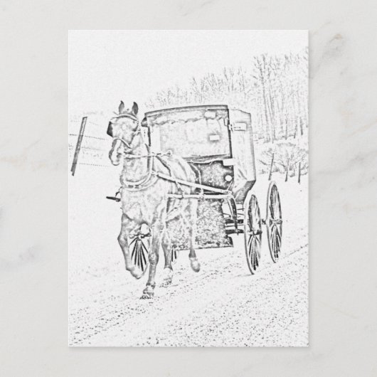 Amish Sketch-Horse en Buggy-Briefkaart Briefkaart (Voorkant)