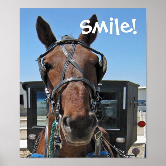 Amish Smile Poster (Voorkant)