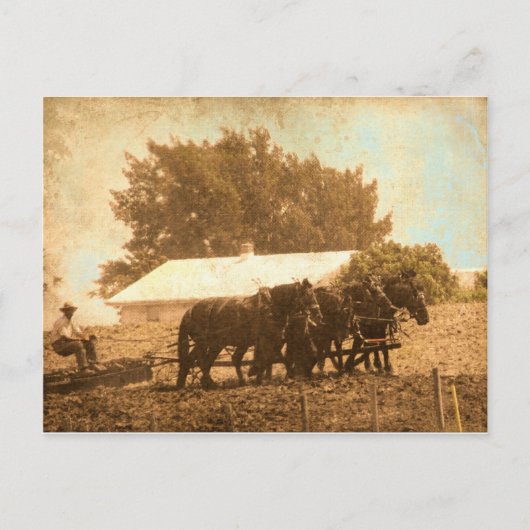 Amish Team Briefkaart (Voorkant)
