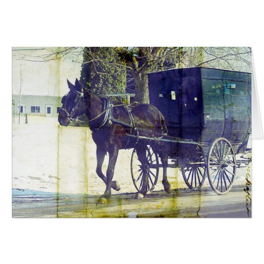 Amish Travel (Voorkant Horizontaal)