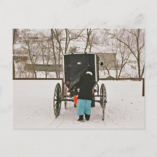 Amish Woman Loading Buggy - Briefkaart