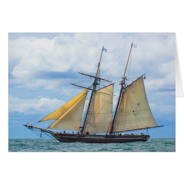 Amistad under Sail (Voorkant Horizontaal)