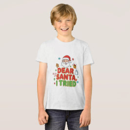 AMITA | Dear Santa, I Tried - Funny Christmas Tri-Blend Shirt
