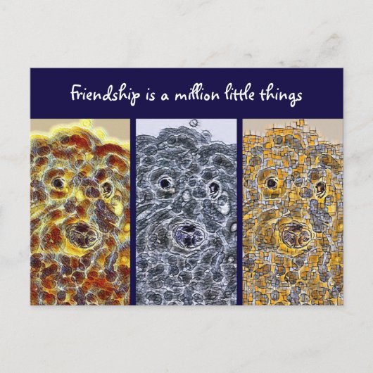 Amitié Chiens de carte postale Art Abstrait modern (Devant)