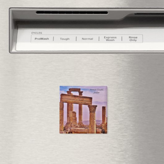 Amman Citadel Magneet (Insitu (Vaatwasser))