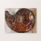 Ammofiet Legpuzzel (Horizontaal)