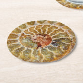Ammoniet Fossil Onderzetter (Gebogen)