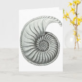 Ammoniet Kaart (Gele Bloem)