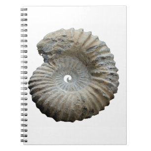 ammoniet notitieboek