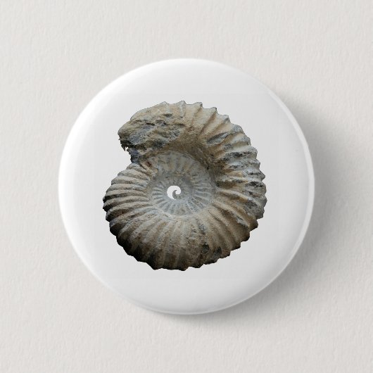 ammoniet ronde button 5,7 cm (Voorkant)