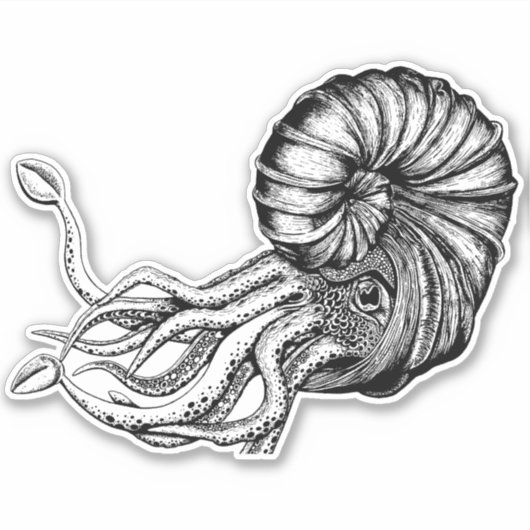 Ammoniet sticker (Voorkant)