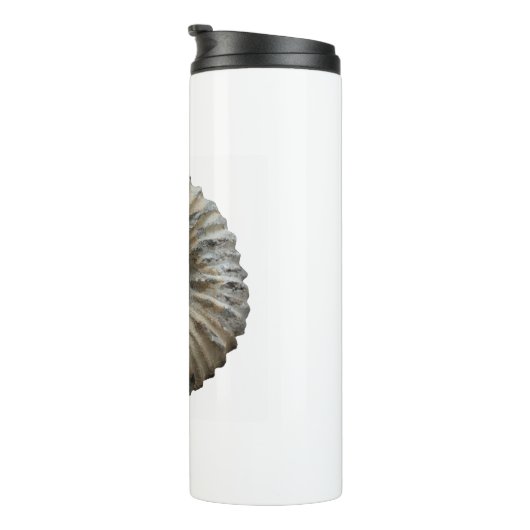 ammoniet thermosbeker (Geroteerd rechts)