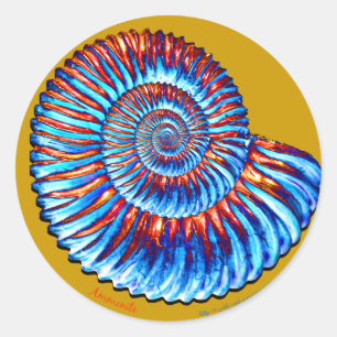 Ammonietfossiel Ronde Sticker
