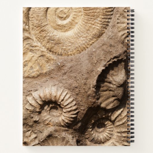 Ammonietzeeschelpen met Jouw naam en Monogram op Notitieboek (Achterkant)