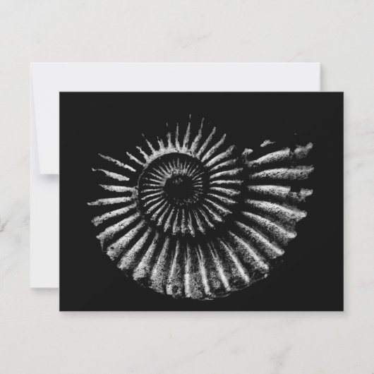 Ammonite blanche sur carte de vacances Black Flat (Devant)
