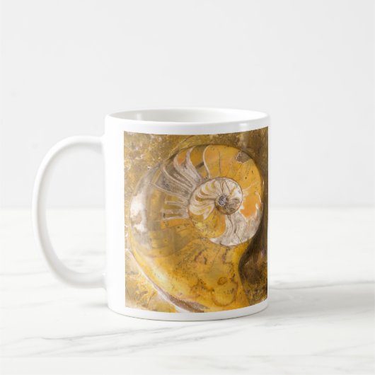 Ammonite Fossil Koffiemok (Links)