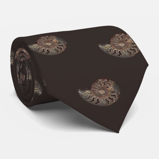 Ammonite Fossil Photo Carrelée Sur Un Cravate Brow (Roulé)