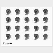 Ammonite Fossil Ronde Sticker (Vel)