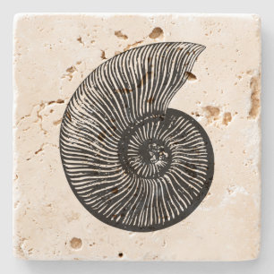 Ammonite Fossil Stenen Onderzetter