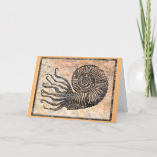 Ammonite Fossil Talking Canyons, New Mexico Kaart