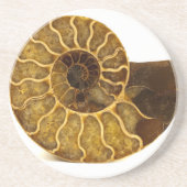 Ammonite Fossil Zandsteen Onderzetter (Voorkant)