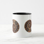 Ammonite Fossils Mok (Midden)
