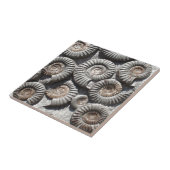 Ammonitor On Rock Foto Tegeltje (Zijkant)