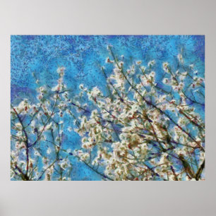 Ammoniumbloesem en blauwe hemel in gekleurde kunst poster