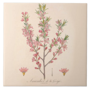 Ammoniumbloesems Gedrukte keramische tapijten keuk Tegeltje