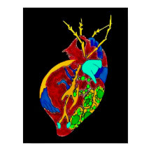 Amoeba Minx en alle fratsen