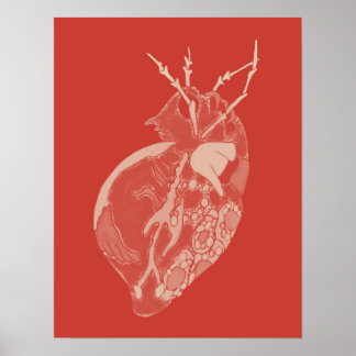 Amoeba Minx: Ruwbalsem Poster