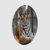 Amol - ornament (voorkant)