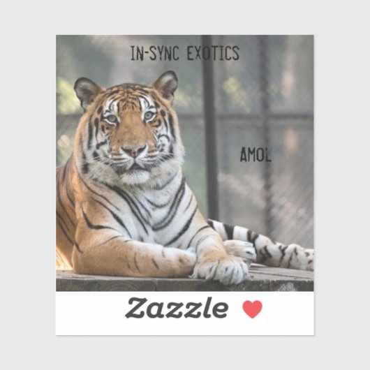 Amol - sticker (Vel)