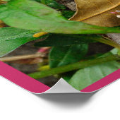 Amor Fati Poster (Hoek)