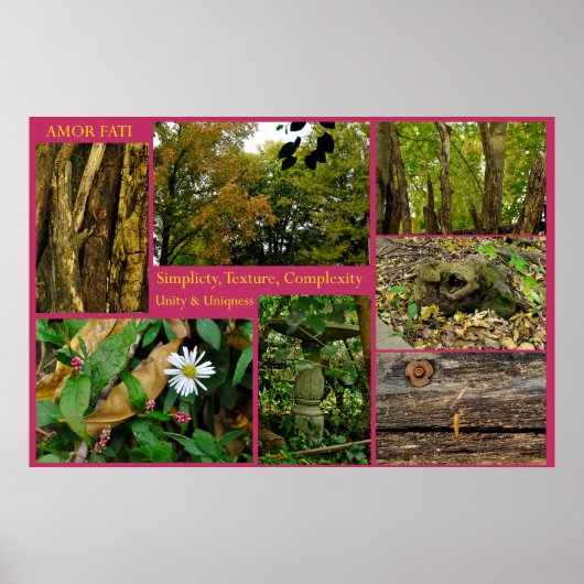 Amor Fati Poster (Voorkant)