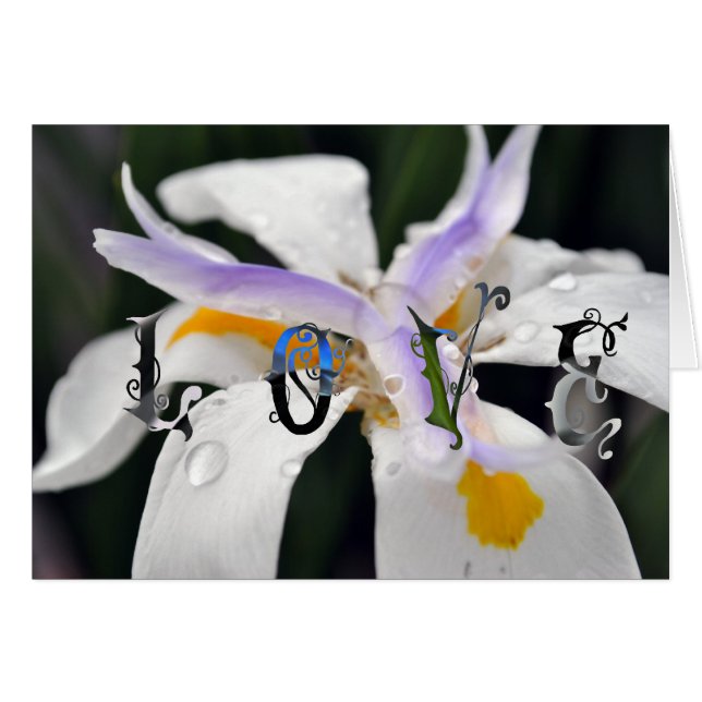 Amour (Devant horizontal)